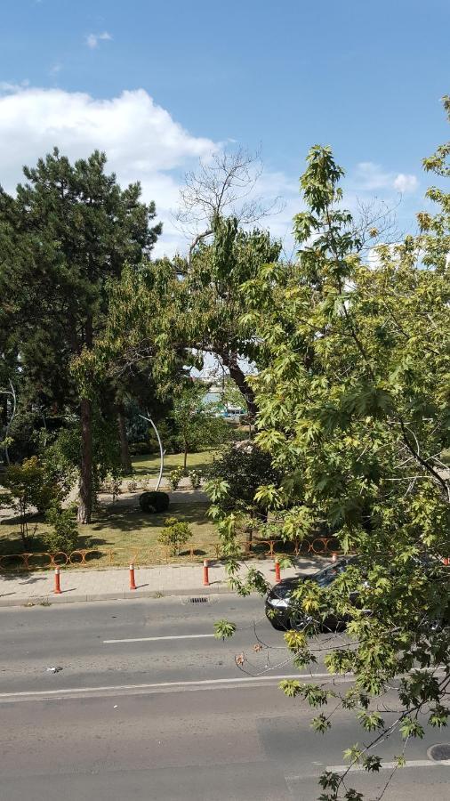 Mia Apartament Τουλσέα Εξωτερικό φωτογραφία
